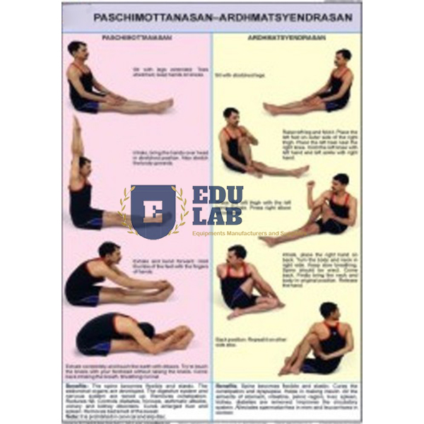Paschimottanasana and Ardha Matsyendrasana Chart