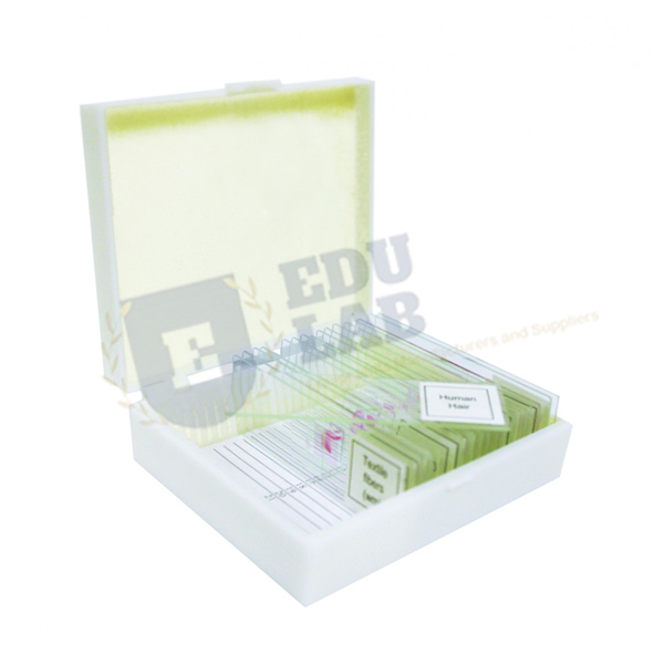 Animal Prepared Slide Set