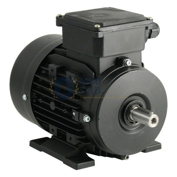 Energy Efficiency In Electric Motors